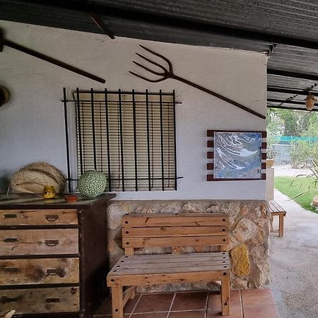 Casa Rural Carme De Nelis Deltebre Dış mekan fotoğraf