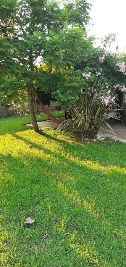 Casa Rural Carme De Nelis Deltebre Dış mekan fotoğraf