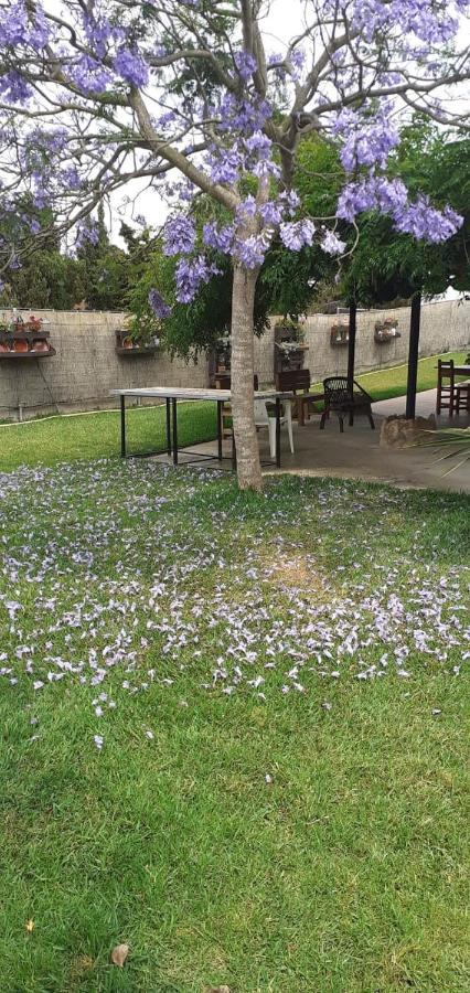 Casa Rural Carme De Nelis Deltebre Dış mekan fotoğraf