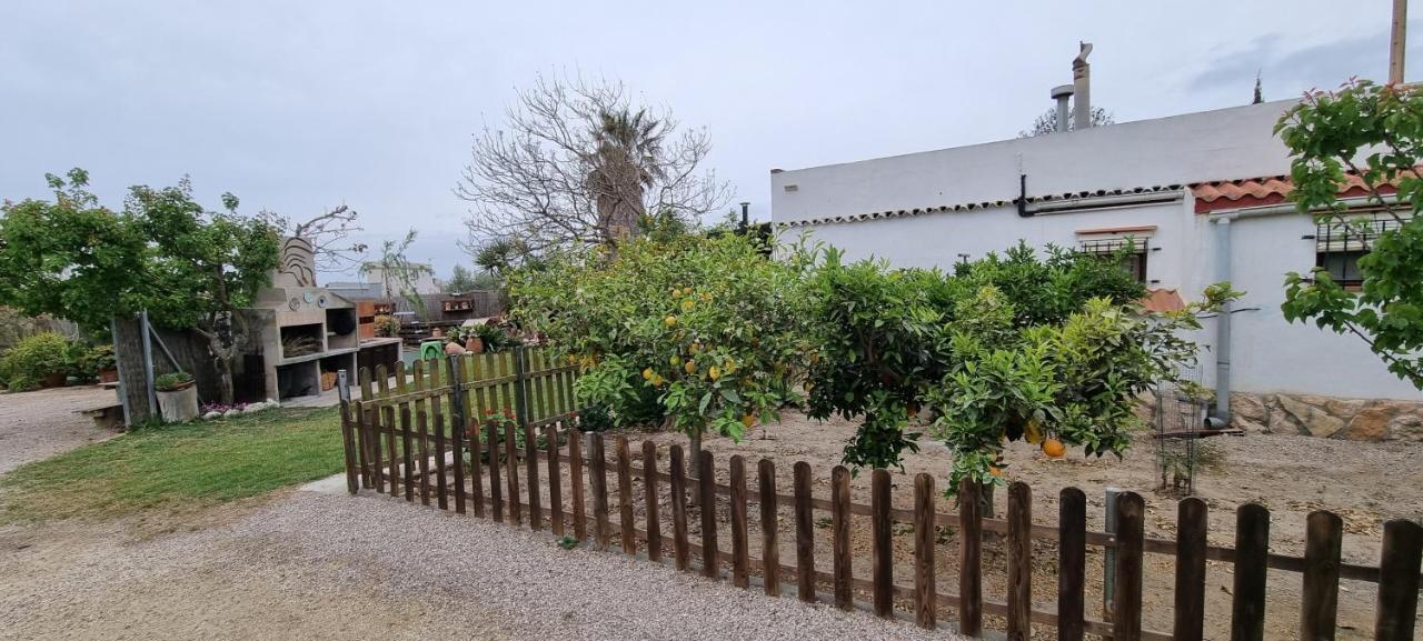 Casa Rural Carme De Nelis Deltebre Dış mekan fotoğraf
