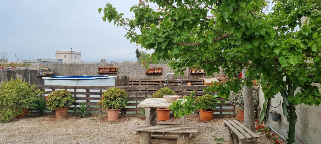 Casa Rural Carme De Nelis Deltebre Dış mekan fotoğraf